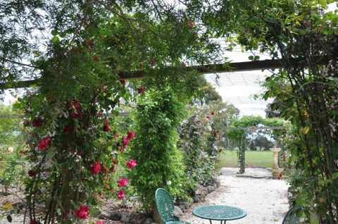 Fairy Wren Cottage Country To Coast Retreat - Tourism Noosa 1