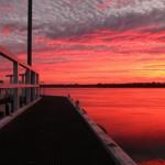 Fairy Wren Cottage Country To Coast Retreat - Tourism Noosa 0