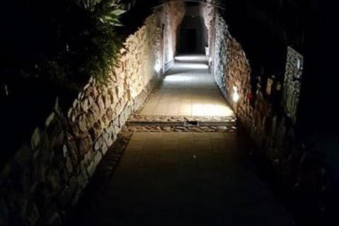 Zen Underground B & B - Tourism Noosa 2