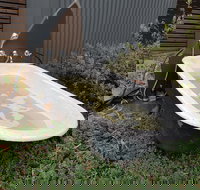 William Hunts Retreat Cypress Studio - Tourism Noosa