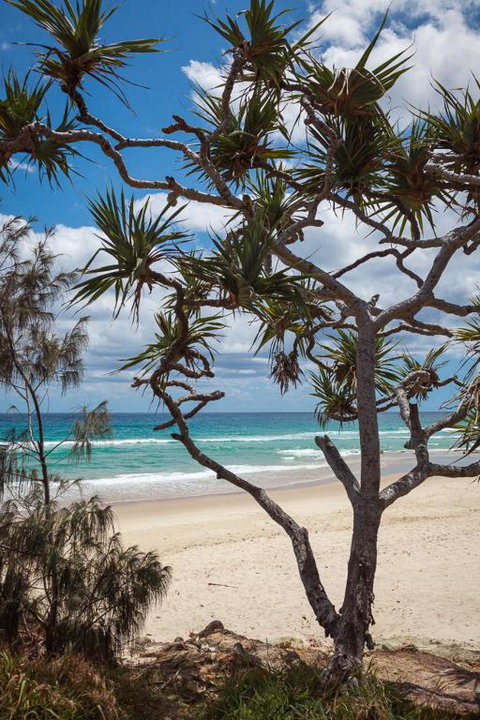 McLeod - Tourism Noosa 2