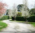 Robin Hill Manor rambling retreat  tennis court