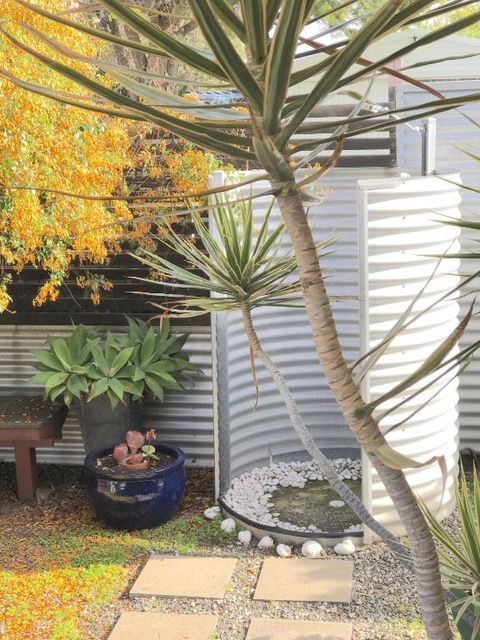 Millys At Middleton Pet Friendly - Tourism Noosa 2