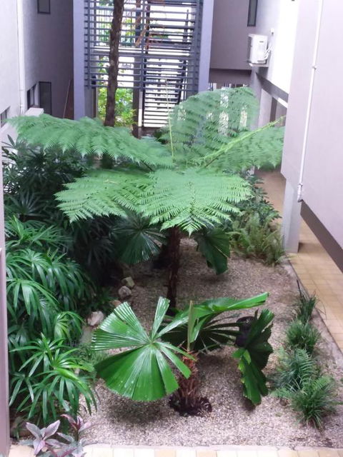 Jackies Studio Apartment - Tourism Noosa 5