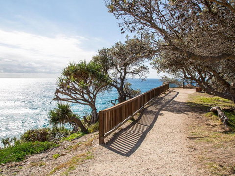 Colours Of Cylinder - Tourism Noosa 5