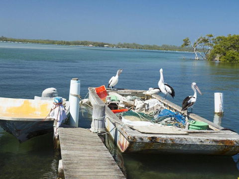 Fairholme 12 - Tourism Noosa 6