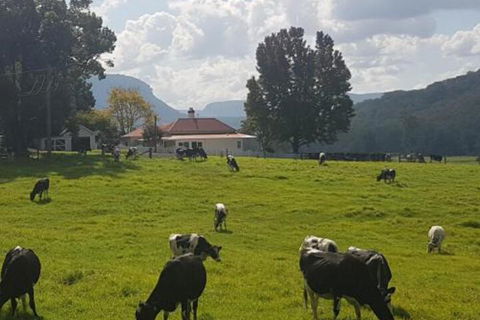 Glenmurray Country Farm Stay! - Tourism Noosa 0