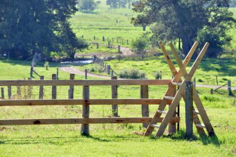 Glenmurray Country Farm Stay! - Tourism Noosa 4