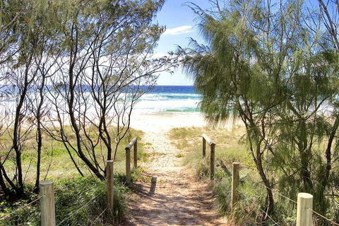 THE BEACH OASIS At 360 - Tourism Noosa 6