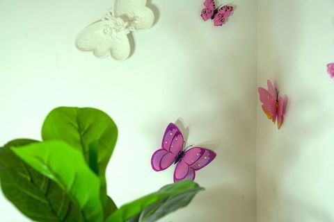 A Cozy 3BRM House At Doncaster - Tourism Noosa 1