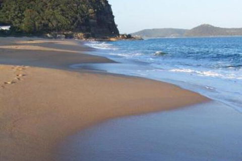 50 Florida Avenue - Tourism Noosa 5