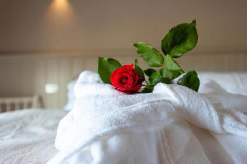 Fellcroft Farmstay - Tourism Noosa 7