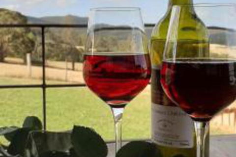 Fellcroft Farmstay - Tourism Noosa 2