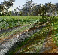 Renovated Cottage Aberdare Hunter Valley - Tourism Noosa