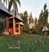 Feathers Sanctuary - Tourism Noosa 6