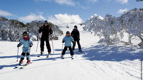 East 302 St. Falls - Tourism Noosa 5