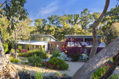 The Bird House - Tourism Noosa 6