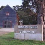 Herons Rise Vineyard Accommodation - Tourism Noosa 0