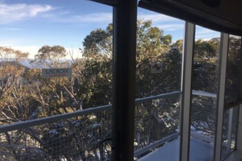Elkhorn 9 - Tourism Noosa 0