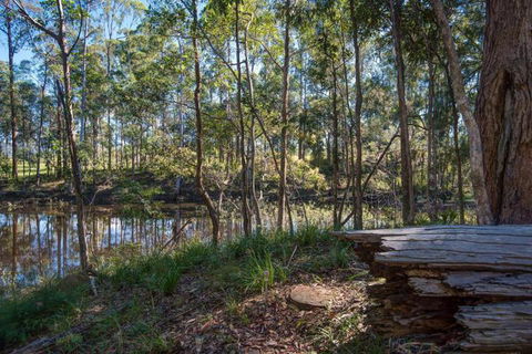 Oakey Creek Private Retreat - Tourism Noosa 2