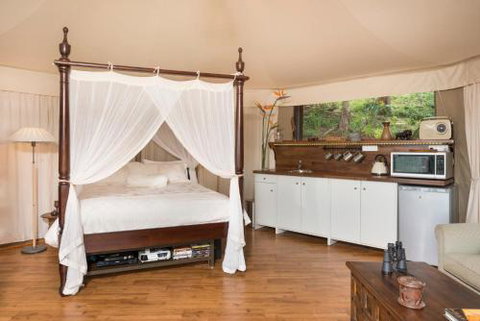 Clouds Safari - Tourism Noosa 4