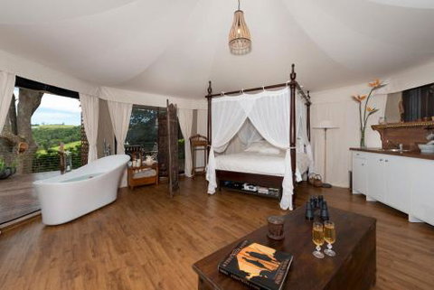 Clouds Safari - Tourism Noosa 1