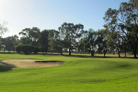 Barmera Country Club Motor Inn - Tourism Noosa 3