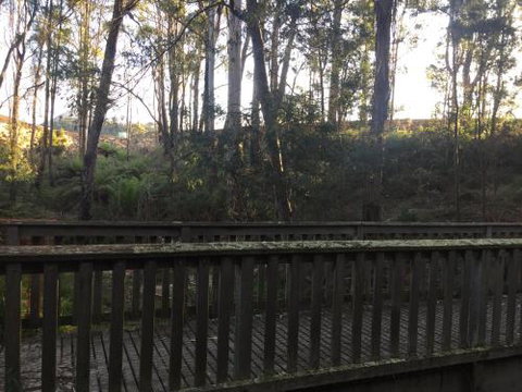 Harlea - Tourism Noosa 1