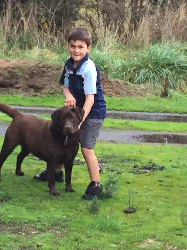 Harlea - Tourism Noosa 6