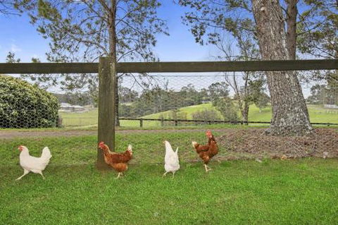 TINY HOME......BIG Views - Tourism Noosa 6