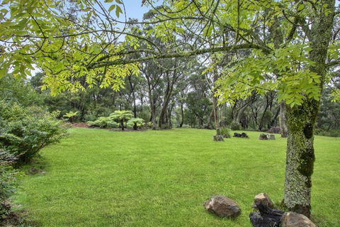 THE TEACHERS COTTAGE - Tourism Noosa 6