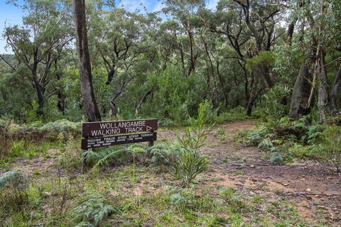 THE TEACHERS COTTAGE - Tourism Noosa 5