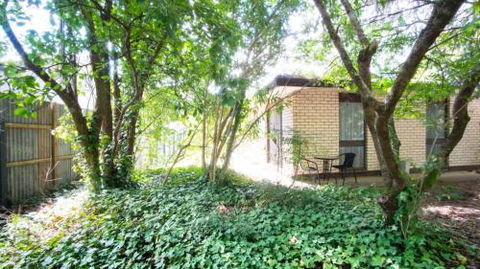 Fiume On Delightful Delany - Tourism Noosa 2