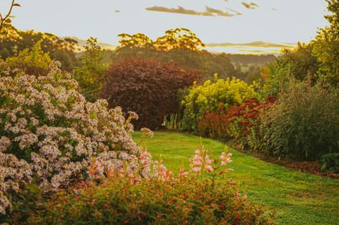 Hillcrest - Tourism Noosa 1
