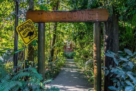 Jackaroo Treehouse Mission Beach - Tourism Noosa 1
