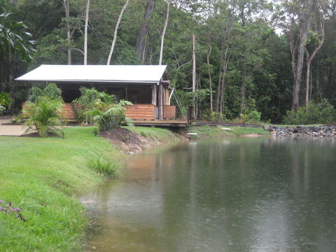 Rainforest Ranch - Tourism Noosa 0