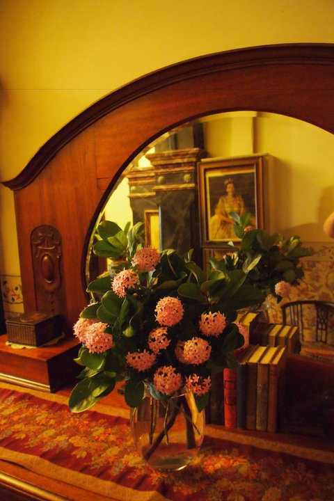 Vacy Hall Toowoomba's Grand Boutique Hotel - Tourism Noosa 6