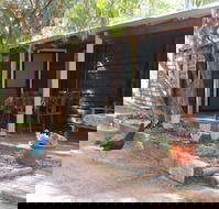 Kerriley Park Farm Stay - Tourism Noosa