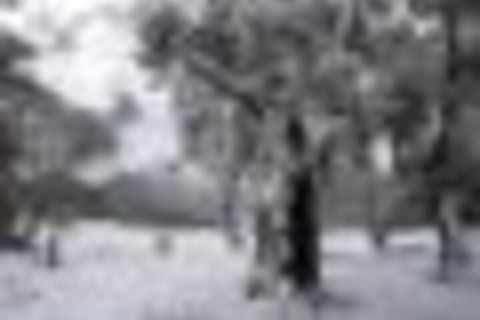 Twin Seasons 5 Deluxe Holiday Apartment - Tourism Noosa 4