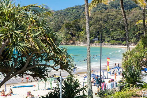Fairshore 38 - Tourism Noosa 1