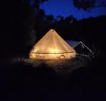 Glamping at Zeehan Bush Camp - Tourism Noosa