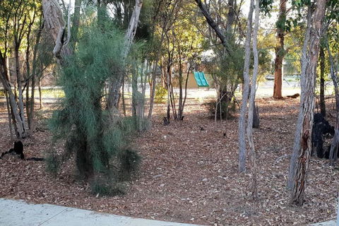 Frasers Landing Lifestyle - Tourism Noosa 4