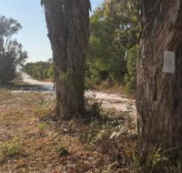 COONARR BEACH  BUNDABERG CAMPING - Tourism Noosa