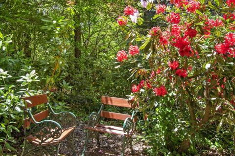 Jalscene - Tourism Noosa 5