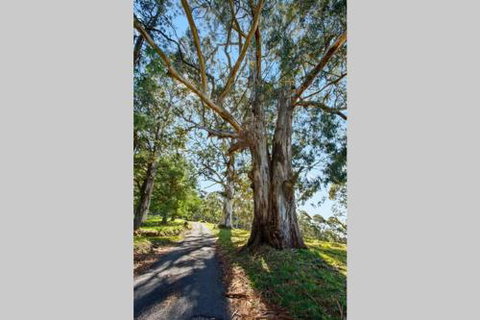 WOOLWAY - Tourism Noosa 2