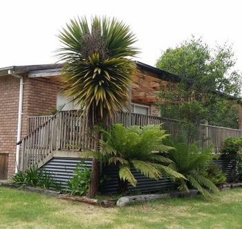 Strahan Holidays - Tourism Noosa 4