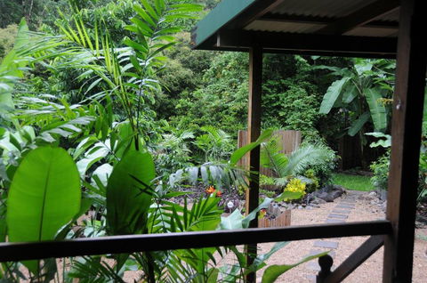 Wildwood - Tourism Noosa 3