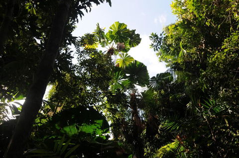 Wildwood - Tourism Noosa 5