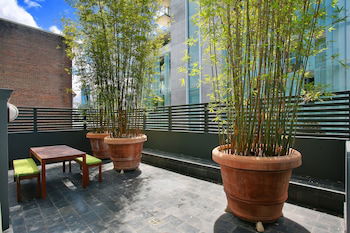 The Courtyard Of St Neot - Tourism Noosa 5