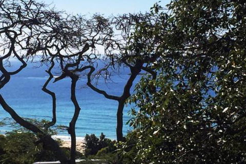 At Cylinder Unit 3 - Tourism Noosa 5